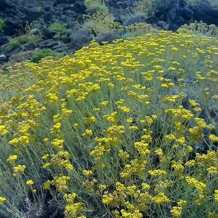 Dammuso Lubo Feriehus